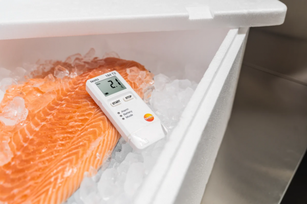 testo 184 T2 - Înregistrator de date temperatură pentru monitorizare transport